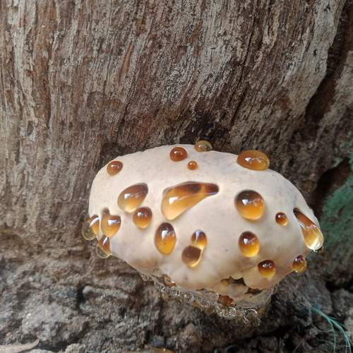 Photo #12511122