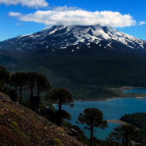 VOLCÁN LLAIMA
