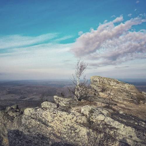 Photo #12511167