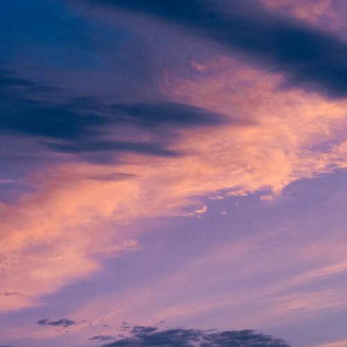 Photo #12511260