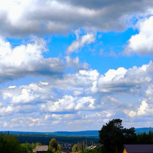 Photo #12511356