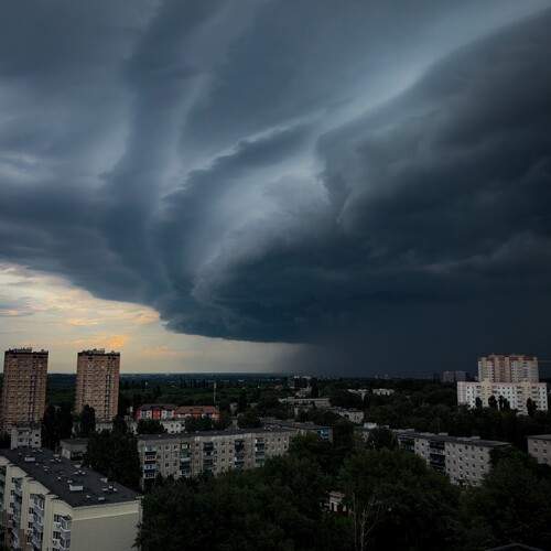 Photo #12511385