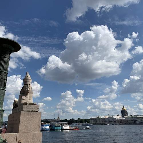 Photo #12511433