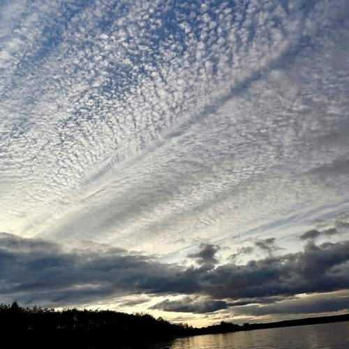 Photo #12511518