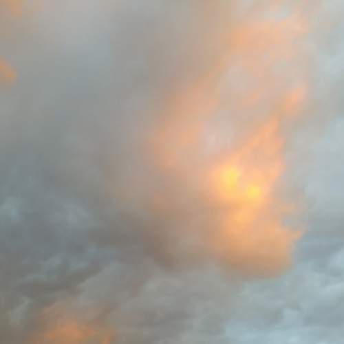 Photo #12511552