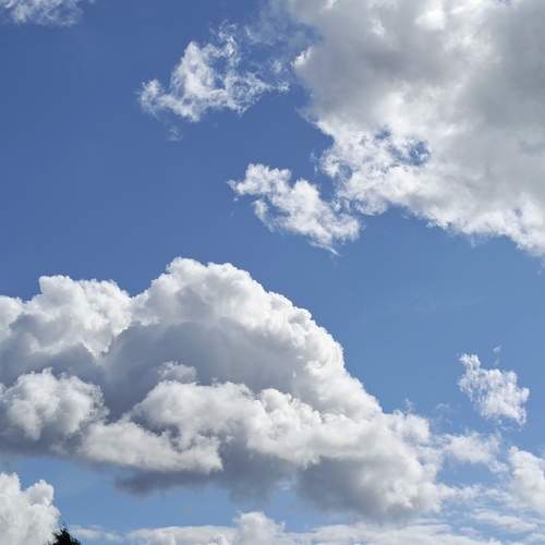 Photo #12511558