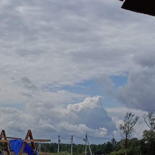Photo #12511561