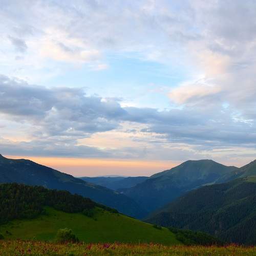 Photo #12511622