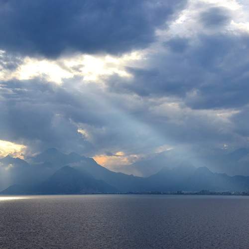 Photo #12511625