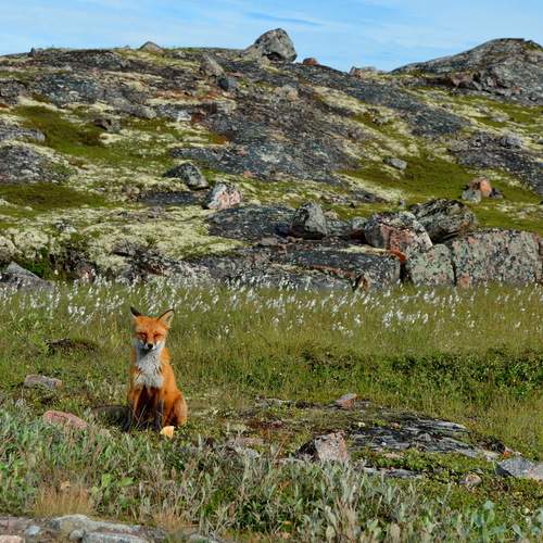 Photo #12511741