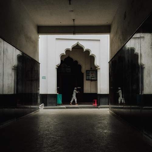 Photo #12511756