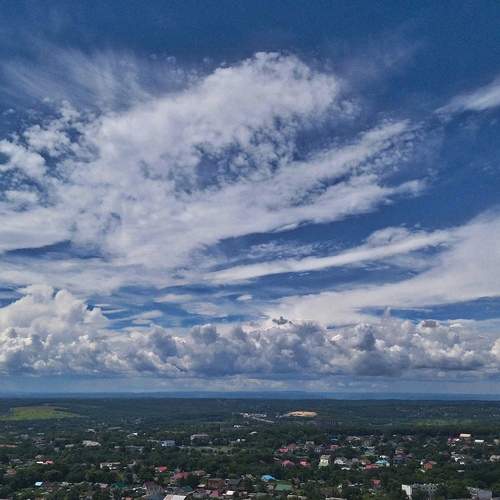 Photo #12511787