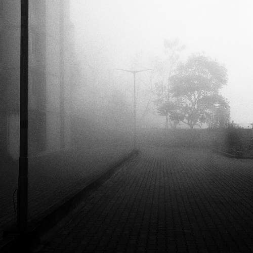 Photo #12511791