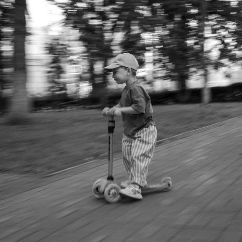 Photo #12511804