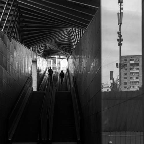 Photo #12511848