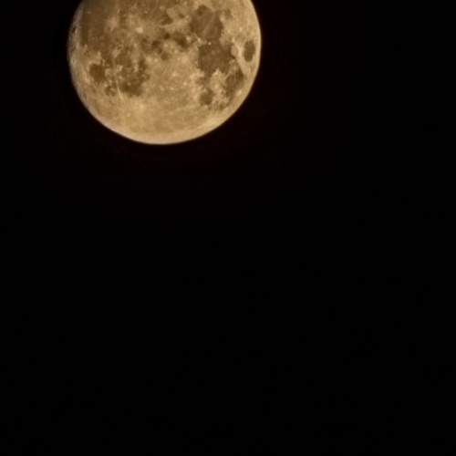 Photo #12511940