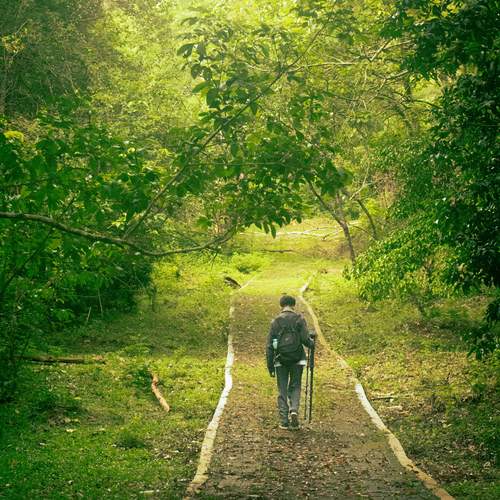 The Path of Solitude