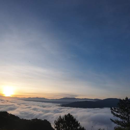 Photo #12512065