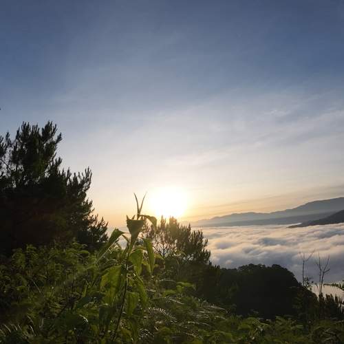 Photo #12512067