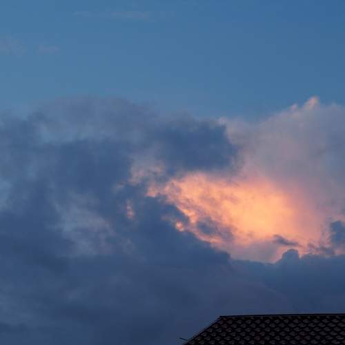 Photo #12512078