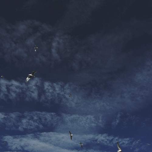 Photo #12512127