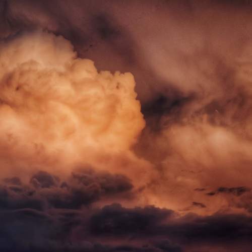 Photo #12512164