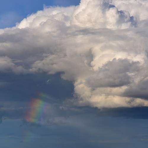 Photo #12512178