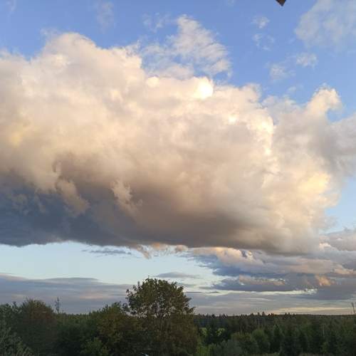 Photo #12512180
