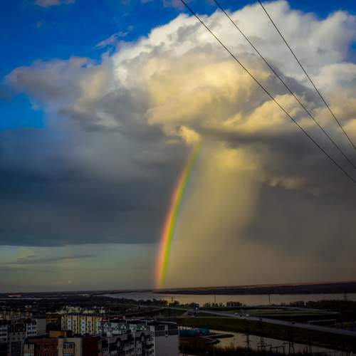 Photo #12512182