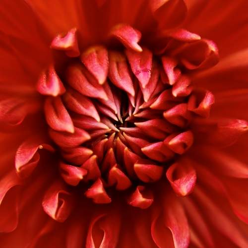 Photo #12512304