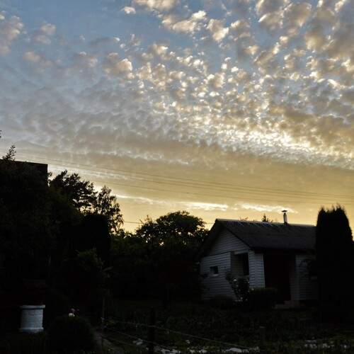 Photo #12512423