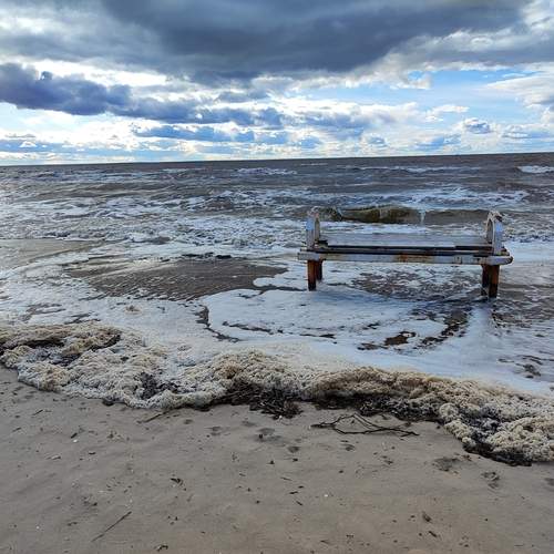 Photo #12512430