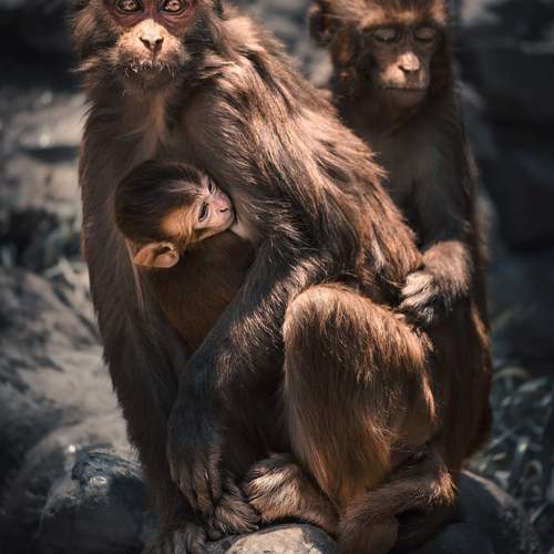 Фотография #12512447