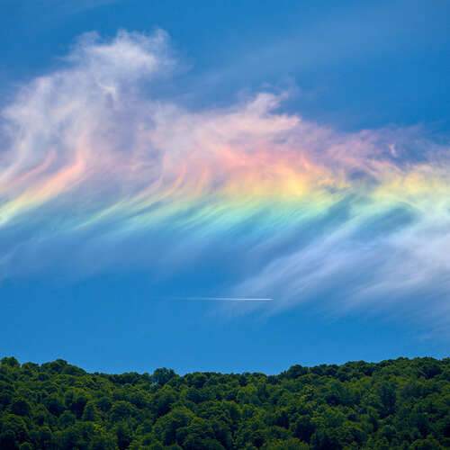 Фотография #12512475