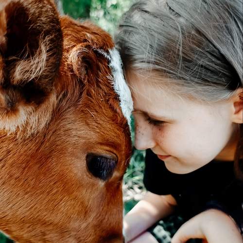 Photo #12512506