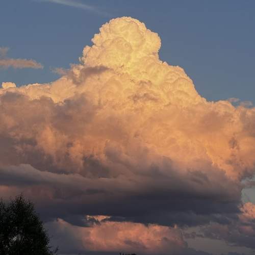 Photo #12512532