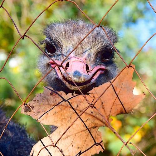 Photo #12512539