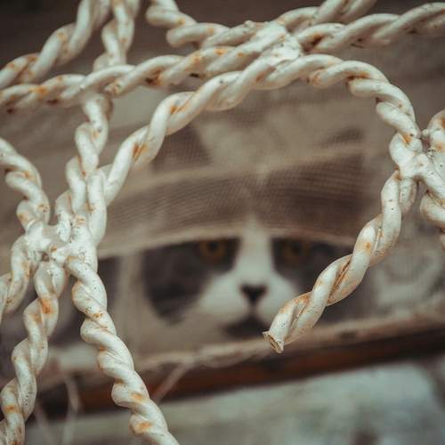 Photo #12512560