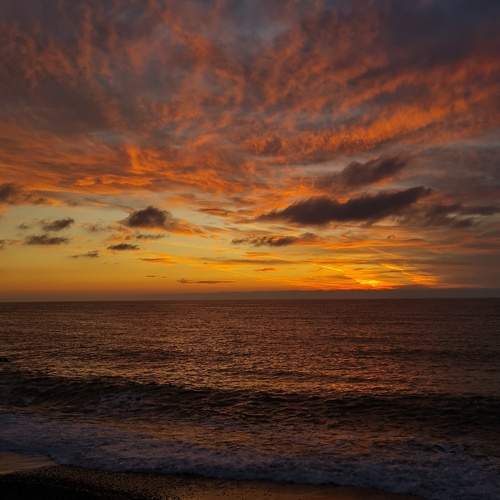 Photo #12512592
