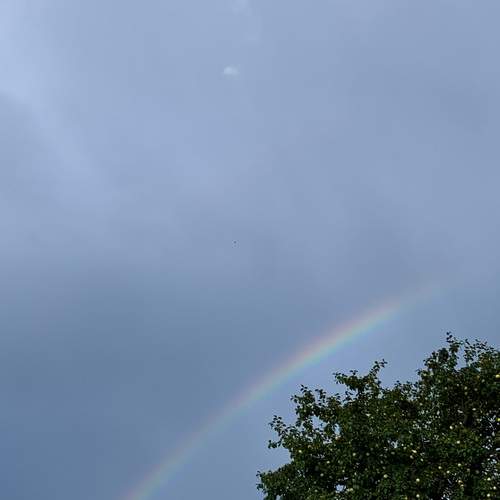 Photo #12512617