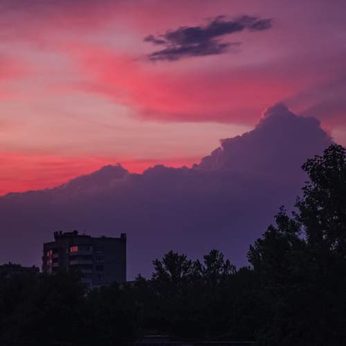 Photo #12512635