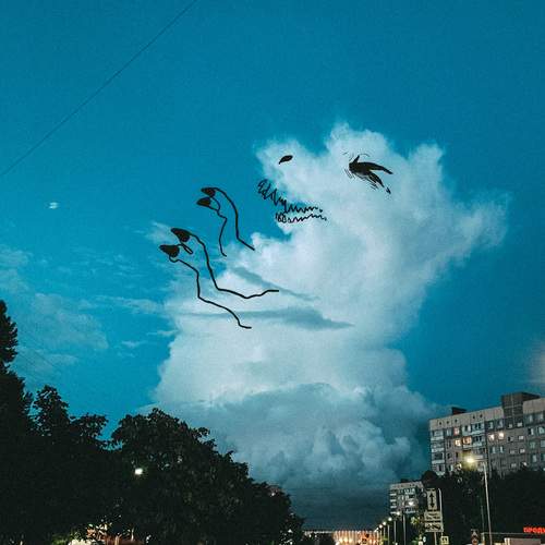 Photo #12512639