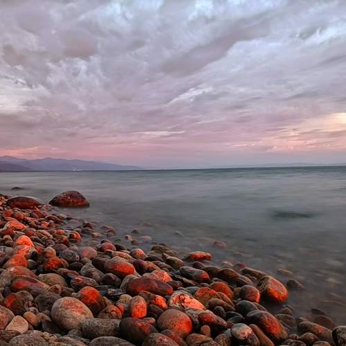 Photo #12512651