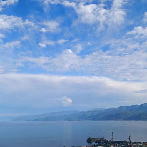 Photo #12512653