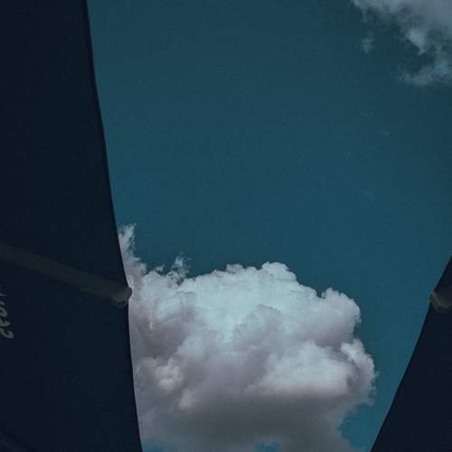 Photo #12512664