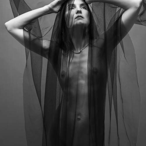 Фотография #12512742