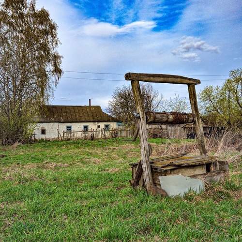 Photo #12512844