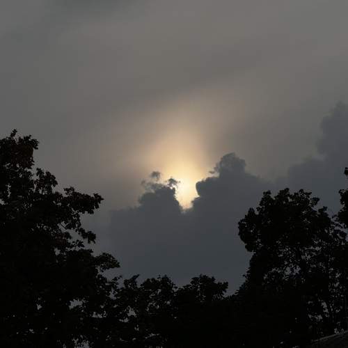 Photo #12512855