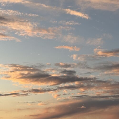 Photo #12512922