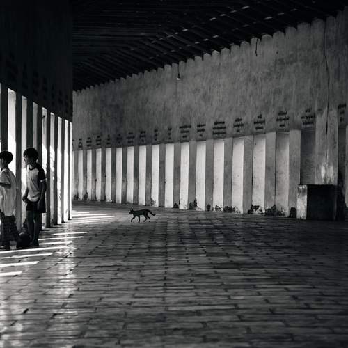 Photo #12512950